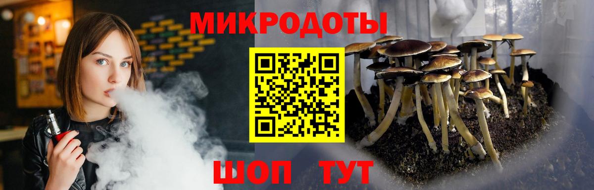 Псилоцибиновые грибы Psilocybe  Вход с VPN  Алапаевск 